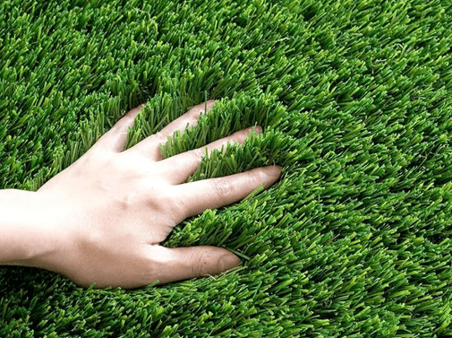 Artificial Grass